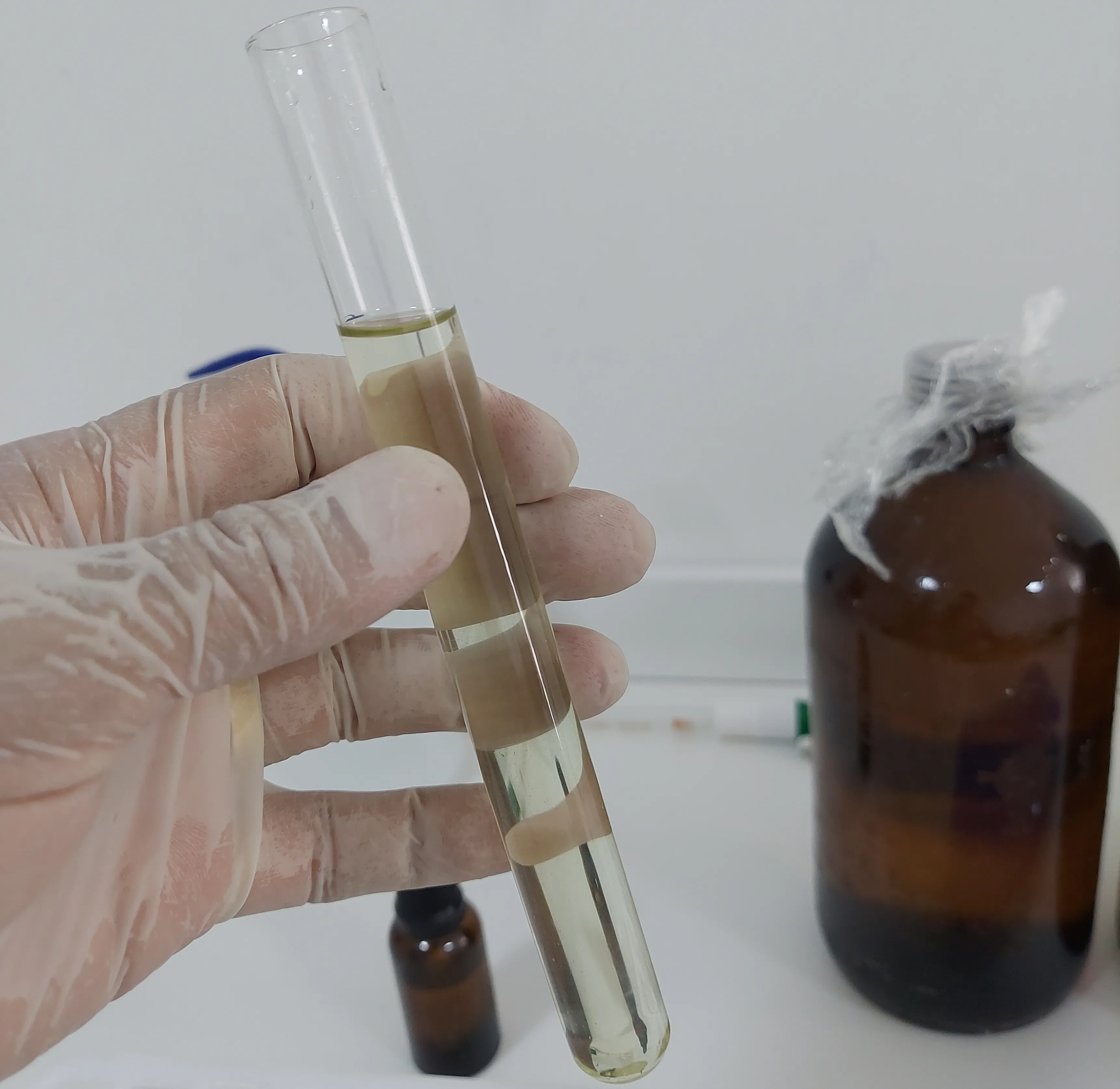 Amostra vegetal em tubo de ensaio